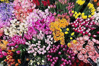 玩家使用《最后生还者2》游戏再现HBO剧版预告片