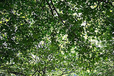 《巫师2》《巫师3》Steam国区价格上涨